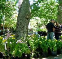 The Stirling Market - Perths Hotel