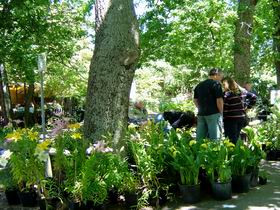 The Stirling Market - Perths Hotel 0