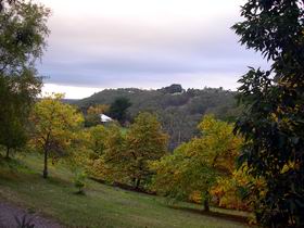 Nirvana Organic Produce And Farm - Perths Hotel 2