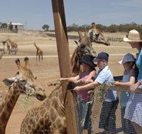 Monarto Open Range Zoo - Perths Hotel