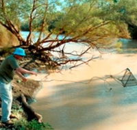 Charleville - Ward River Fishing Spot