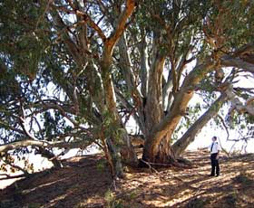 Perry Sandhills - Perths Hotel 2