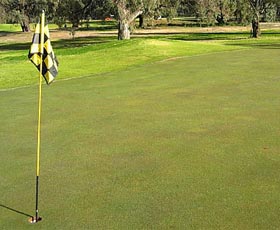 Wentworth Sporting Complex - Perths Hotel 0