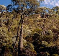 Ka Ka Mundi Carnarvon National Park - Perths Hotel
