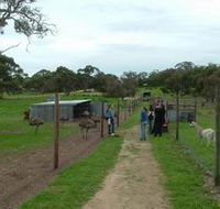 Avenue Emus - Perths Hotel
