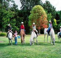 Limestone Coast Horseriding - Perths Hotel