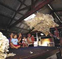 Shear Outback the Australian Shearers Hall of Fame - Perths Hotel