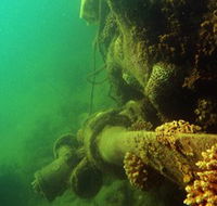 Wreck Diving at Magnetic Island - Perths Hotel