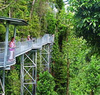 Mamu Tropical Skywalk - Perths Hotel