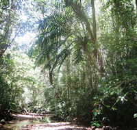 Mount Lewis National Park - Perths Hotel