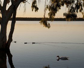 Lake Elphinstone - Perths Hotel 2