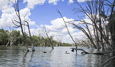 Murrumbidgee Valley National Park - Perths Hotel 0