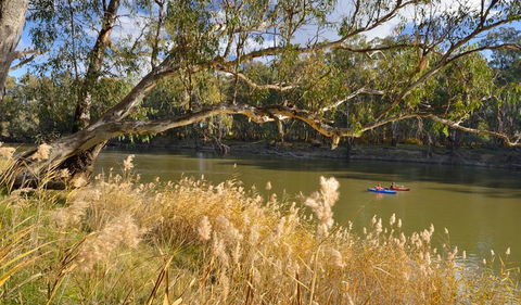 Murrumbidgee Valley National Park - Perths Hotel 3