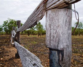 Oyala Thumotang National Park (CYPAL) - Perths Hotel 1