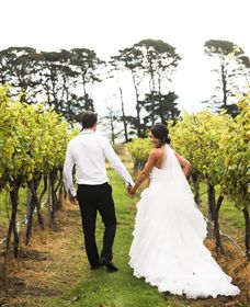 Quoin Hill Vineyard - Perths Hotel 2