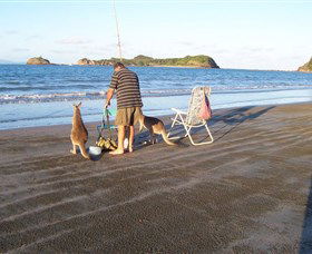 Halliday Bay QLD Perths Hotel