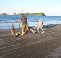 Cape Hillsborough National Park - Perths Hotel