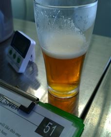 Goanna Brewing - Perths Hotel 1