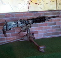 Woodpecker Gun - Perths Hotel