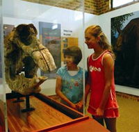 Australian Museum Diprotodon Exhibition - Perths Hotel