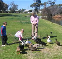 Roy Little Park Merredin - Perths Hotel