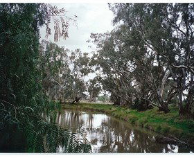 Henty Government Dam Nature Reserve - Perths Hotel 0