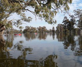 Henty Government Dam Nature Reserve - Perths Hotel 1