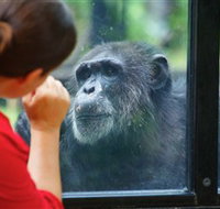 The Rockhampton Zoo - Perths Hotel