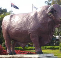 Rockhampton Bull Statues - Perths Hotel
