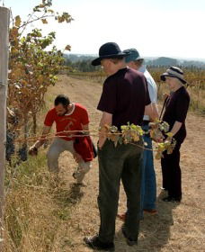 Rosnay Organic Farm And Vineyard - Perths Hotel 2
