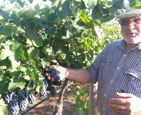 Rosnay Organic Farm And Vineyard - Perths Hotel 6