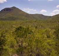 Kutini-Payamu Iron Range National Park CYPAL - Perths Hotel