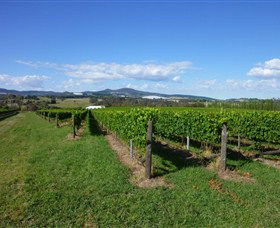 Hedberg Hill Wines - Perths Hotel 0