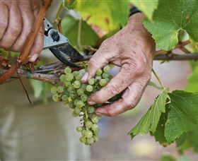 Austins & Co. - Perths Hotel 1