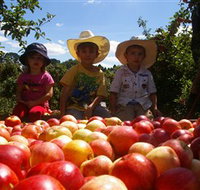 Bonny Glen Fruits - Perths Hotel