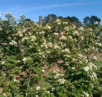 Huntley Berry Farm - Perths Hotel