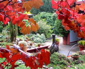 Out Of Town Nursery And Humming Garden - Perths Hotel 1