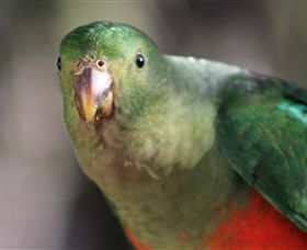 Out Of Town Nursery And Humming Garden - Perths Hotel 3