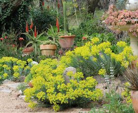 Out Of Town Nursery And Humming Garden - Perths Hotel 8