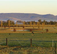 Holbrook Landcare Self-Drive Eco Tour - Perths Hotel