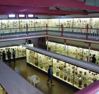 National Museum of Australian Pottery - Perths Hotel