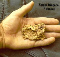 Three Creeks Tourist Gold Mine - Perths Hotel