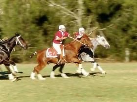 Morgan Park, Warwick - Perths Hotel 0