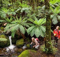 Baw Baw National Park - Perths Hotel