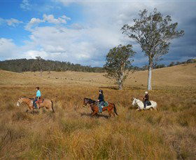 Chapman Valley Horse Riding - Perths Hotel 0