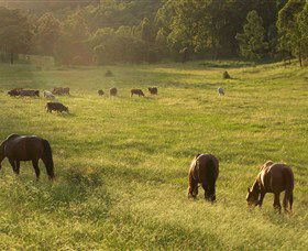 Chapman Valley Horse Riding - Perths Hotel 4