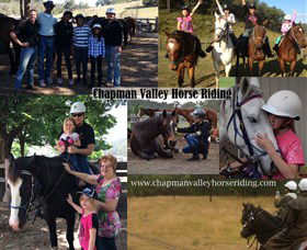Chapman Valley Horse Riding - Perths Hotel 5