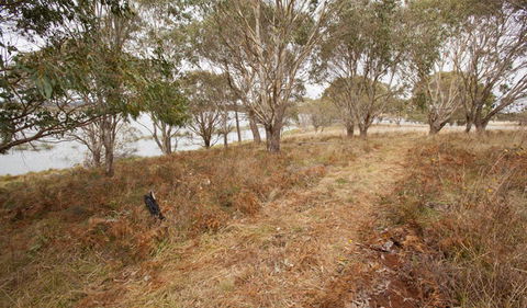Lagoon Circuit Walking Track - Perths Hotel 1