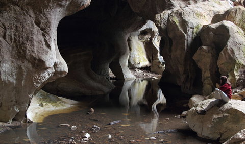 Fig Tree Cave - Perths Hotel 2