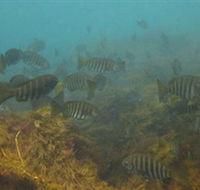 Bunurong Marine and Coastal Park - Perths Hotel